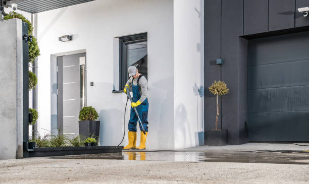 Best Gutter Cleaning  in Samsula Spruce Creek, FL